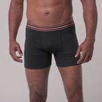 Cueca-Boxer-Avulsa-Cinza---Lupo