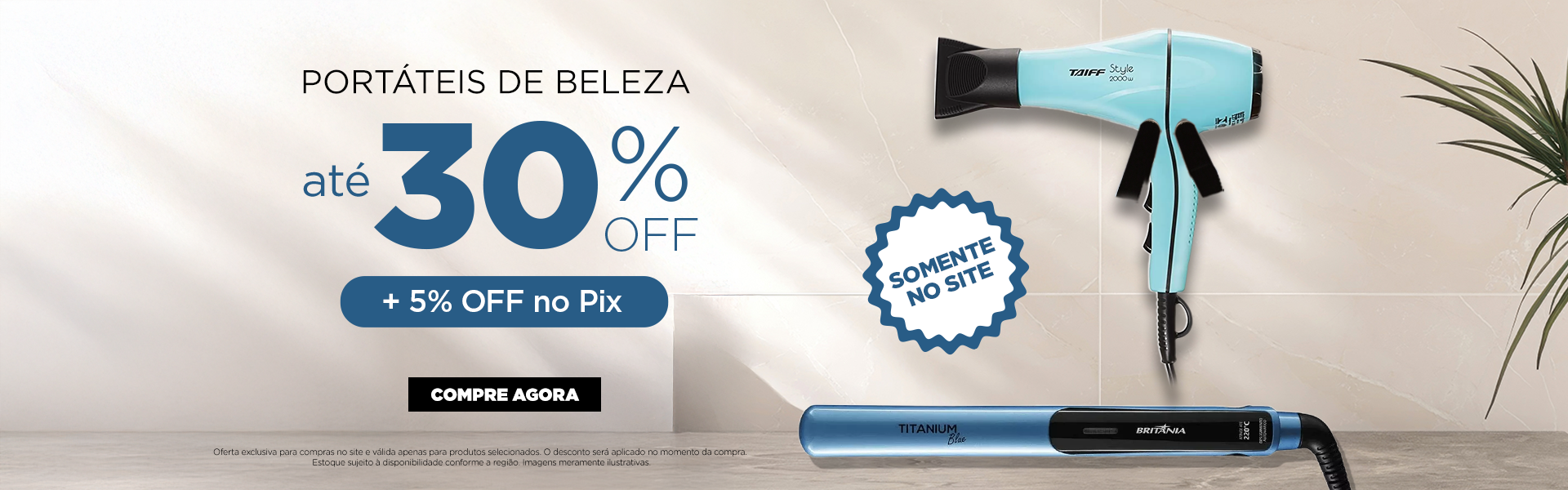 Descriptive text for the image